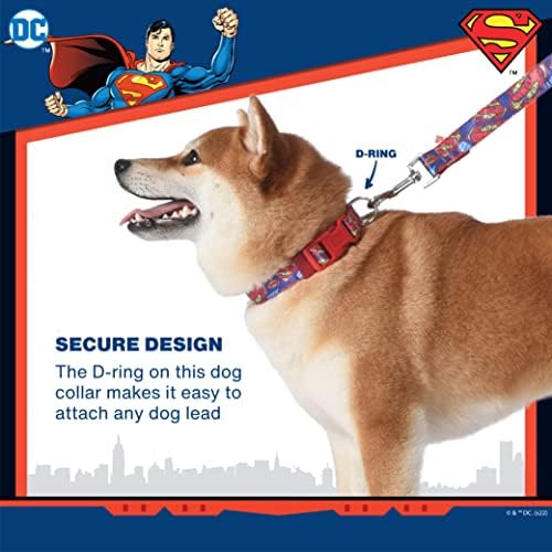 DC קומיקס צווארון כלבים סופרמן, בינוני | רשמית מורשה רשמית קומיקס קומיקס סופרמן לוגו צווארון כלבים